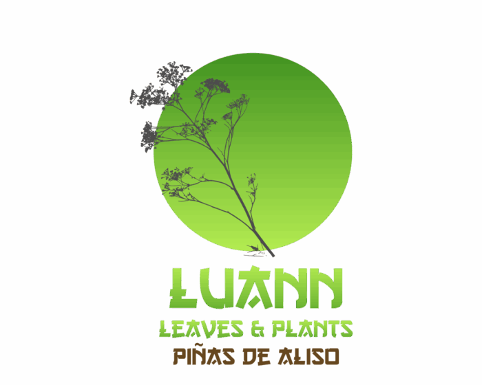 Luann Aqua Piñas de Aliso - Imagen 1