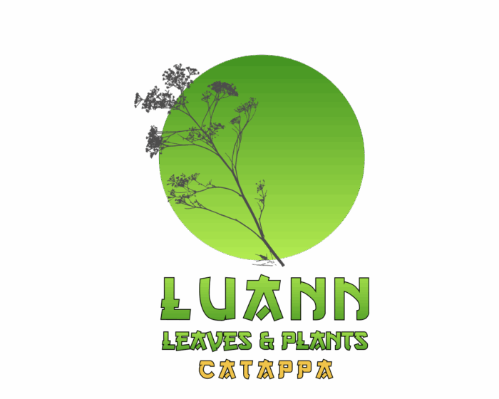 Luann Aqua Hojas Catappa - Imagen 1