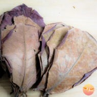 Luann Aqua Hojas Catappa - Imagen 2