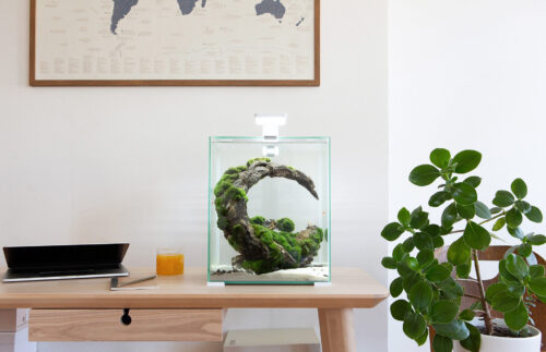 Aquael Shrimp Set DAY & NIGHT - Imagen 6